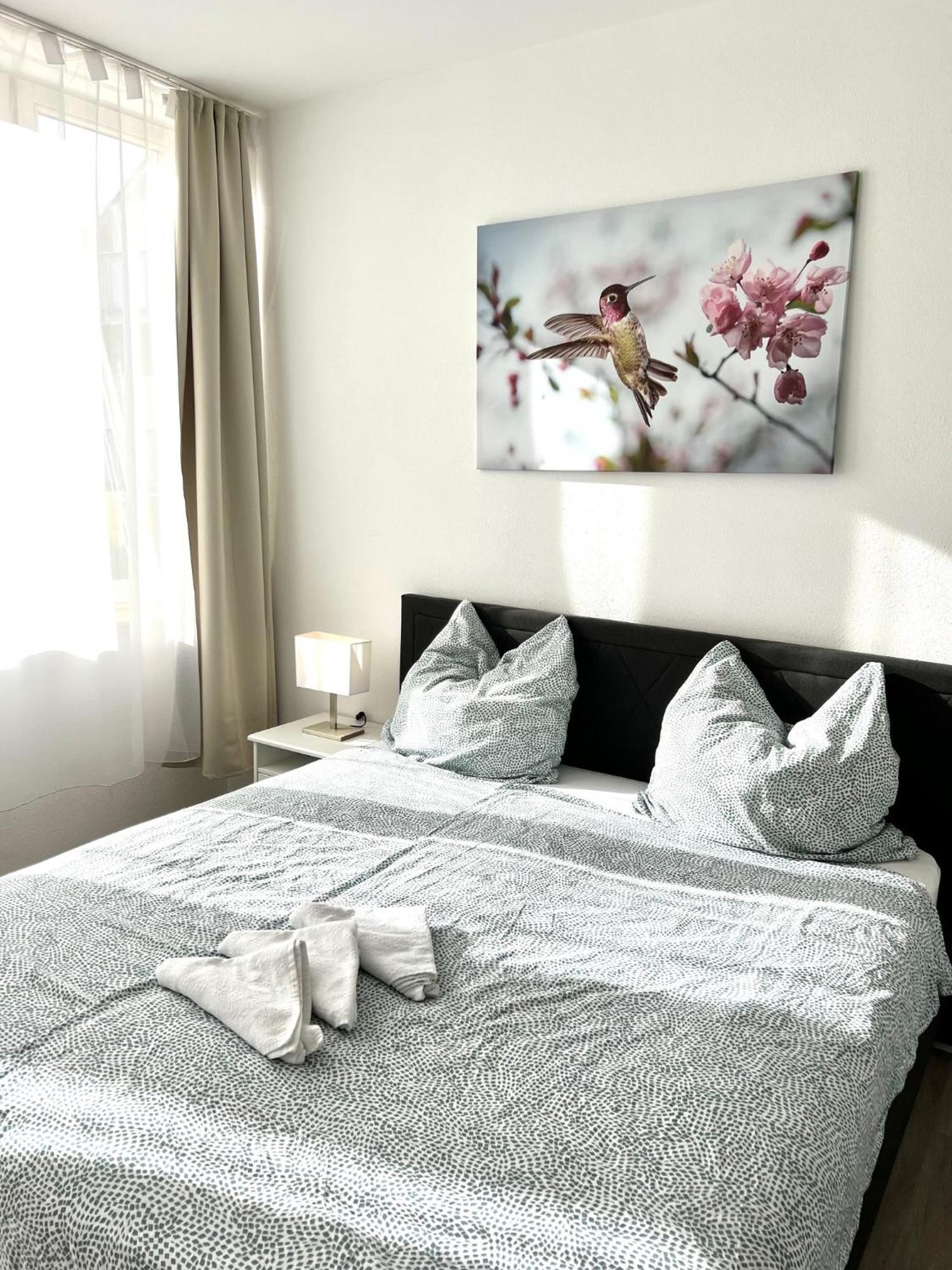 City Appartement Kueche,Bad, Parken Im Zentrum Von ラーベンスブルク エクステリア 写真